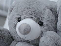 Подарочный набор Uviton Плед плюс Мишка