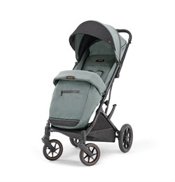 Inglesina Maior - фото 7441