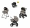 Inglesina Aptica System Quattro XT 3 в 1 - фото 8107
