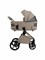 Sweet Baby SBL Elegante Therma (Colore) 2 в 1 - фото 8724