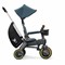 Трехколесный велосипед Doona Liki Trike S5 - фото 8814