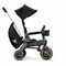 Трехколесный велосипед Doona Liki Trike S5 - фото 8819